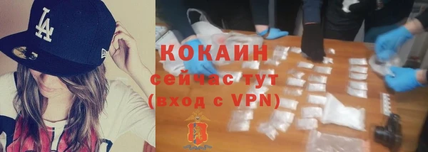 спайс Арсеньев