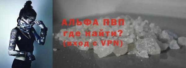 спайс Арсеньев