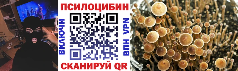 Галлюциногенные грибы прущие грибы  наркота  Макарьев 